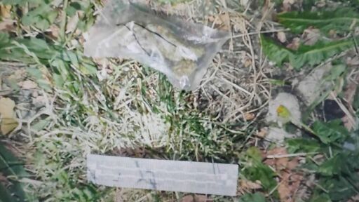 Столични полицаи иззеха близо половин килограм различни наркотици (СНИМКИ)