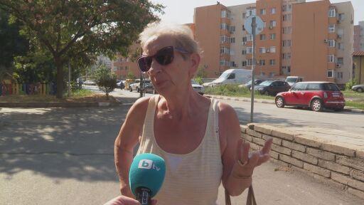Жена на пазар: Цените се покачват всеки ден. Миналата седмица орехите бяха 15 лева, вчера - 18 лева