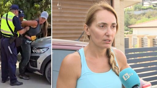 Активистката Гергана Петрова ще съди Иван Демерджиев