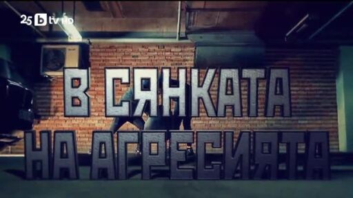 bTV Репортерите: В сянката на агресията