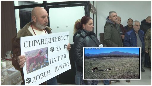 Брутално убийство на ловно куче в Ботевградско, ловци настояват за най-тежкото наказание