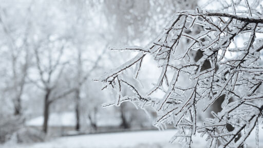 Ще има ли бяла Коледа? Симеон Матев с прогноза за времето по празниците