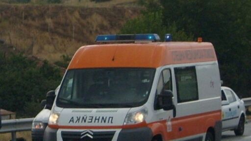 Дърво падна върху дървосекач край Мадан