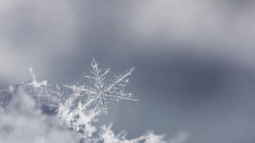 Рязка промяна на времето: Интензивен сняг на много места в страната