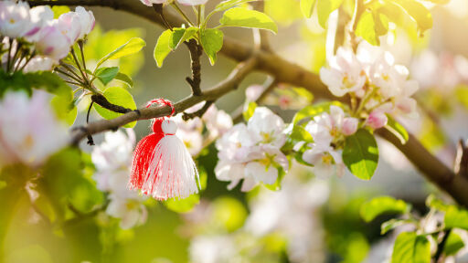 Снимка Мартеницата - докога се носи? (СНИМКИ + ВИДЕО)