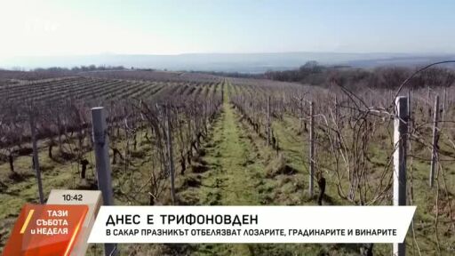 Днес е Трифоновден