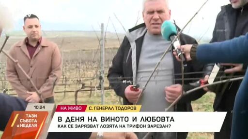 Как се зарязват лозята на Трифон Зарезан?