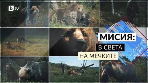 bTV Репортерите: Мисия: В света на мечките