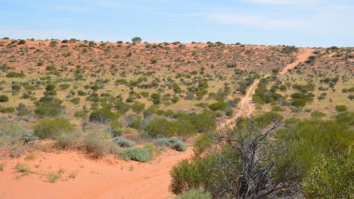 Единствената страна в света с пустиня и тропическа дъждовна гора
