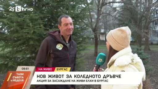 Какво да правим с елхите след празниците?