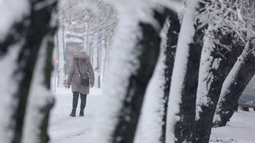 Червен код за сняг и леден дъжд е обявен в части на Сърбия