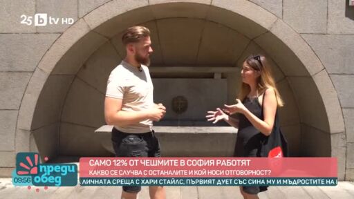Само 12% от чешмите в София са в добро състояние