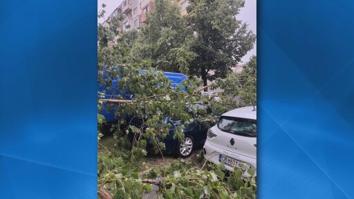 След мощната буря в София: Жител на кв. 