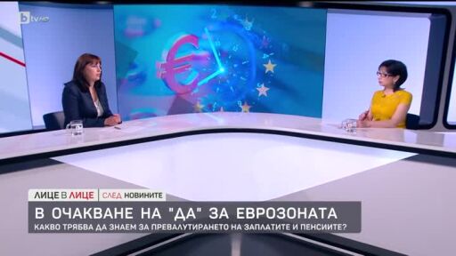 Заплати в евро: Какво ще стане с трудовите договорите и защитени ли са правата на работниците?