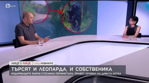 От къде се появи черният хищник?