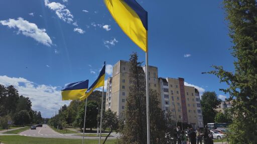 МВФ одобри отпускането на около 690 млн. долара за Украйна