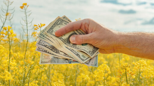 Тези професии са на дъното по заплати в България 