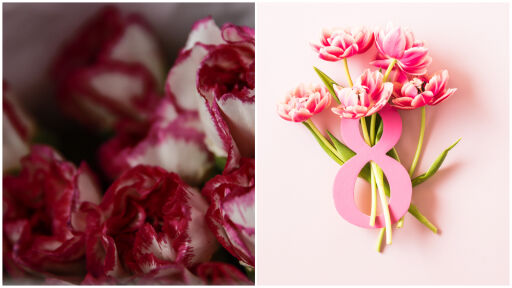 Снимка Цветето на 8 март: Как карамфилът се превръща в традиция