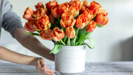 Снимка Как да запазим букета от лалета свеж над 7 дни - прочутият трик с иглата и медните монети