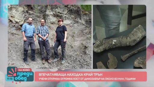 Какъв е бил животът по нашите земи преди 80 млн. години?