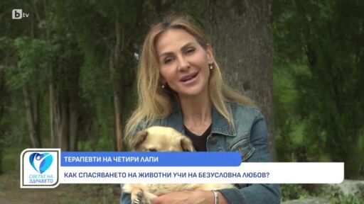 Снимка Животните: Терапевти, които се грижат за нашето здраве (ВИДЕО)