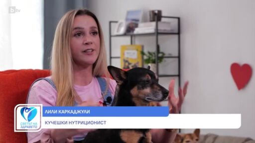 Снимка Лили Каркаджули: Важно е при избора на меню за кучето да се консултираме със специалист (ВИДЕО)