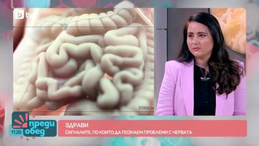 "Здрави": Сигналите, по които да познаем проблеми с червата