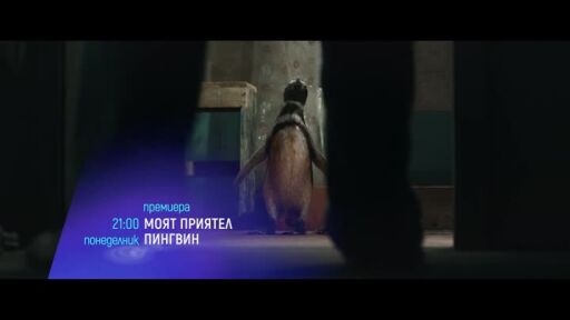 "Моят приятел пингвин", премиера и "Кръгът" - понеделник по bTV Cinema