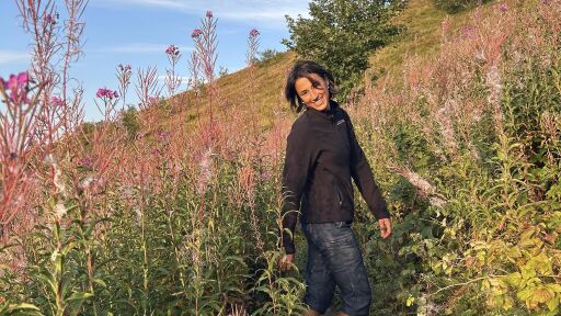 Дронове и кучета търсят изчезналата Стефани, доброволци се включват в акцията (ВИДЕО)