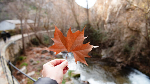 Какво време ни очаква до 30 ноември?