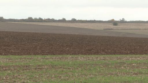 Кога рентата от земя се облага с данък?