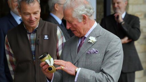 10 скъпи неща, които крал Чарлз III притежава