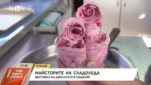 Майсторите на сладоледа