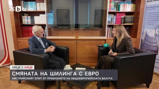 Смяната на шилинга с евро