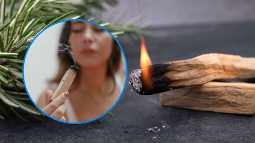 Снимка Какво е Пало Санто: Лечебно средство срещу болка и стрес (ВИДЕО)