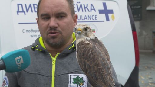 Ромео е топ мъжкар - на 32 години е баща на 60 деца