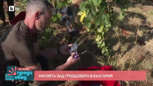 Кръстовден - началото на гроздобера и края на лятото