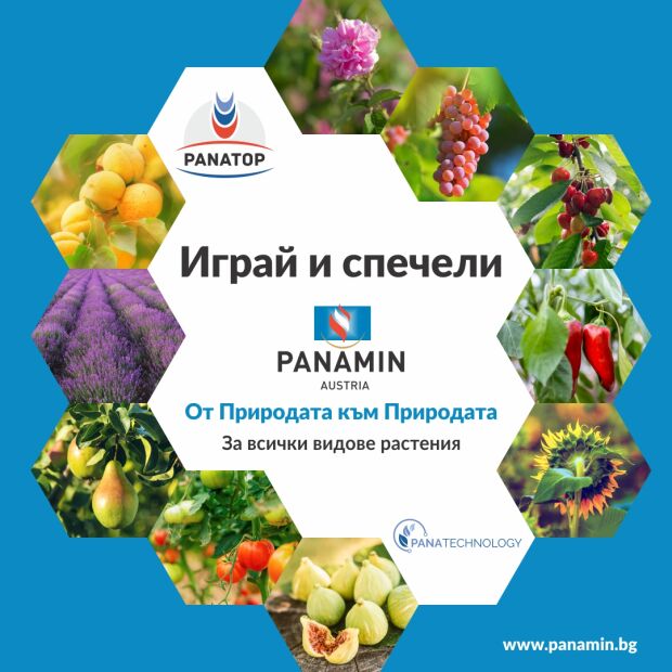 Играй и спечели награди с Панамин