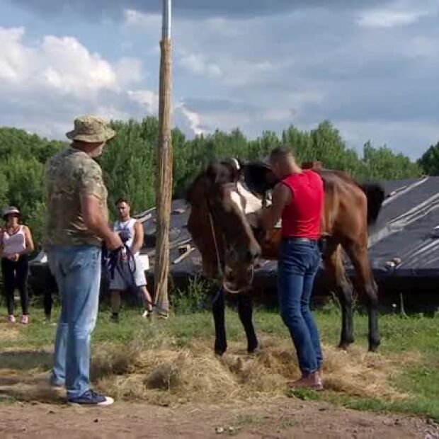 Кой ще спечели фермерското умение?