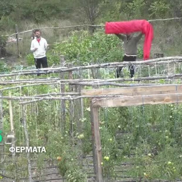 Тази вечер във 