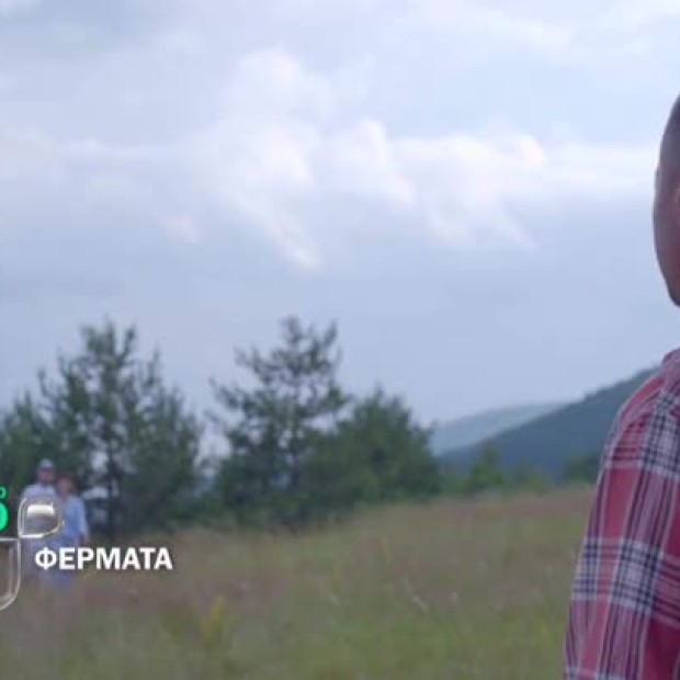 Гледайте 