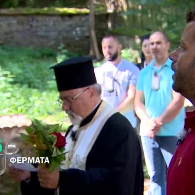 Тази вечер във Фермата... първи премеждия с животните