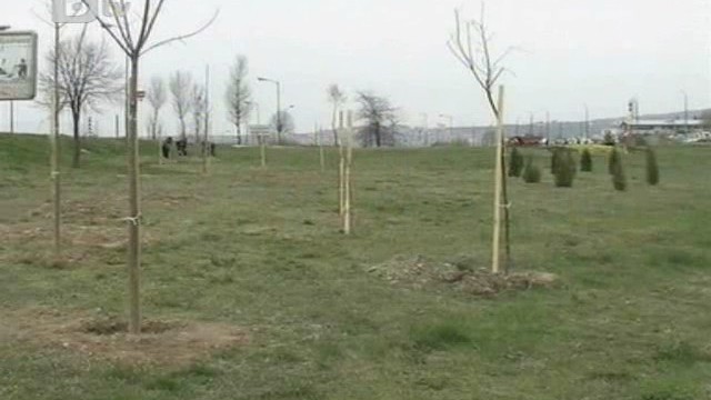 Снимка: Откраднаха новозасадени фиданки край Благоевград