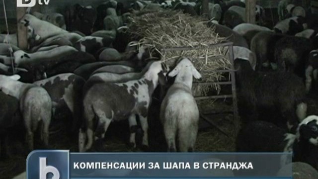 Снимка: Изплащат компенсациите заради шапа от понеделник