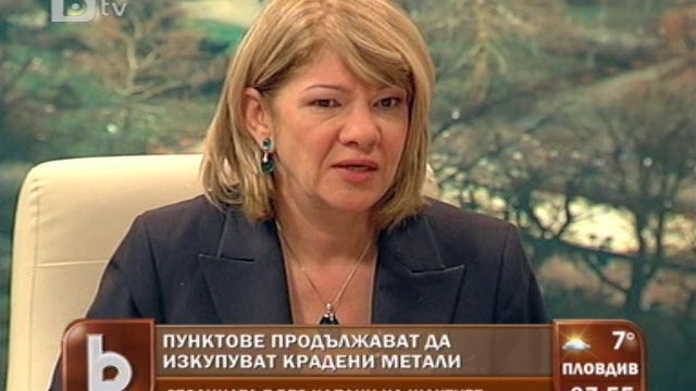 Снимка: Ще спрат ли кражбите на метални съоръжения?