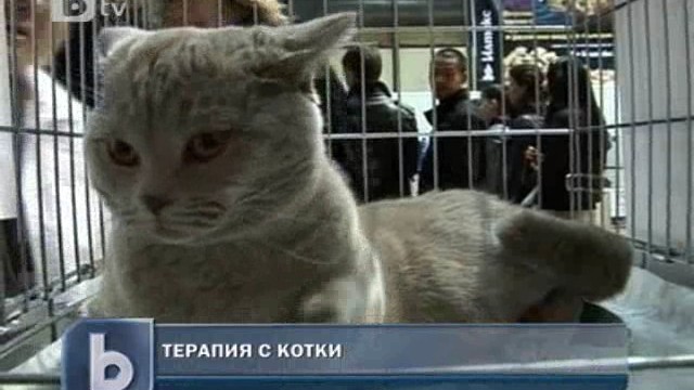 Снимка: 