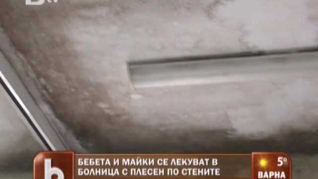 Снимка: Бебета и майки се лекуват в болница с плесен