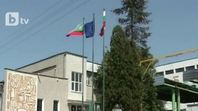 Снимка: Риск от екологична криза заради липса на екарисажи