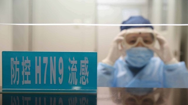 H5N1 не е единствената версия на птичия грип от която
