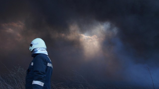 Снимка: МВР търси 249 пожарникари и спасители